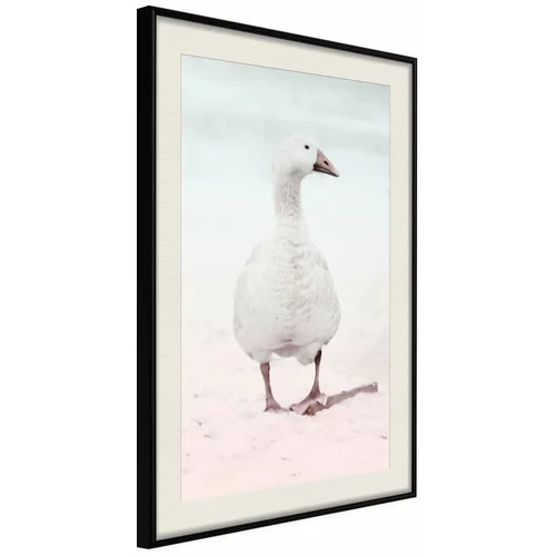  Poster - Walking Goose 20x30
