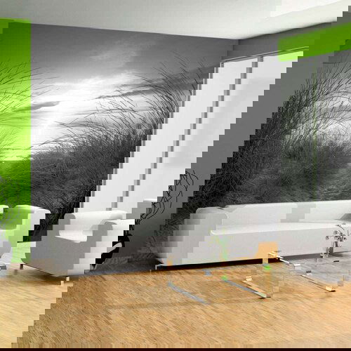  Tapeta - beach (black and white) 150x105 Slike