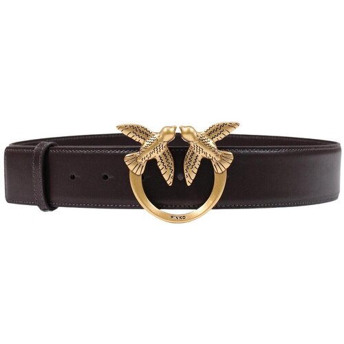 Pinko Pasovi ALTA LOVE BIRDS IN PELLE 100120 A0F1 Kostanjeva Slike