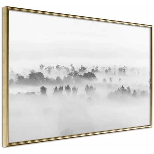  Poster - Fog Over the Forest 30x20