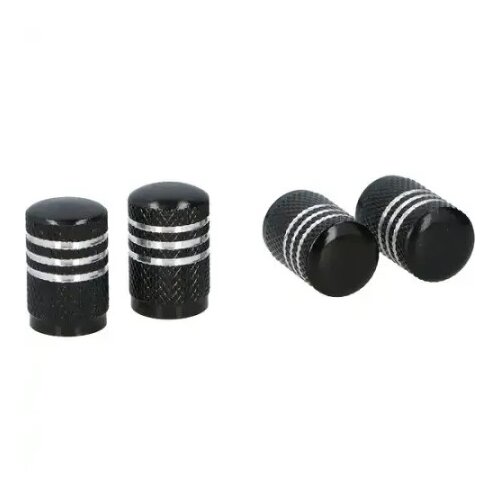 Dunlop Aluminijumske kapice za ventil blacksilver ( 58160 ) Cene