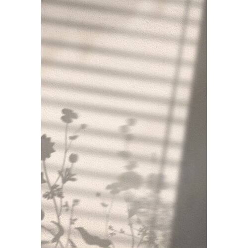 Venture Home poster Flower Shadow 30 &amp;times; 40 cm, bijeli Slike
