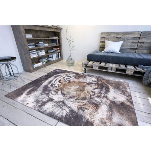 Conceptum Hypnose tepih opus -al 321, 140x190 cm, &amp;scaron;areni Slike