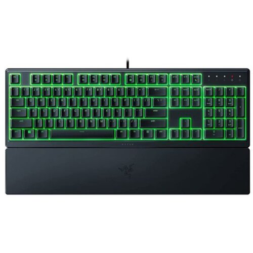 Razer Tastatura Ornata V3 X Cijene