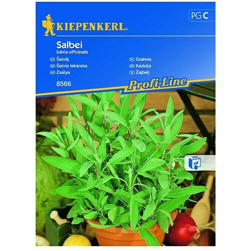 KIEPENKERL Profi-Line Zeli&scaron;čna semena Žajbelj (Salvia officinalis, Čas setve: Marec, Čas žetve: Maj) Cene