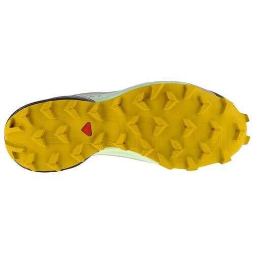 Salomon speedcross 5 gtx w 416128 Cene