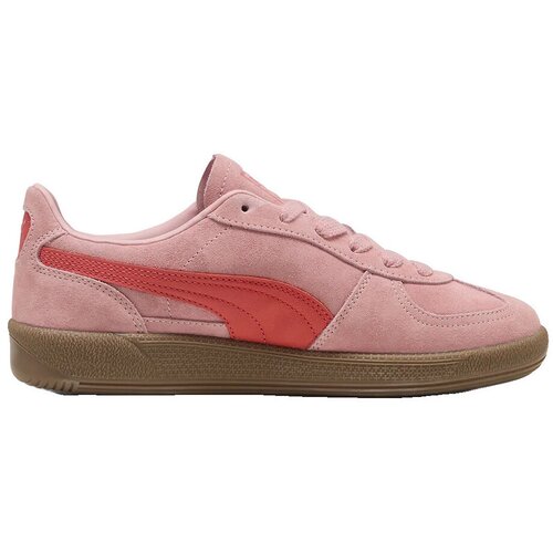 Puma Modne superge Baskets Select Palermo cuir Rožnata Slike