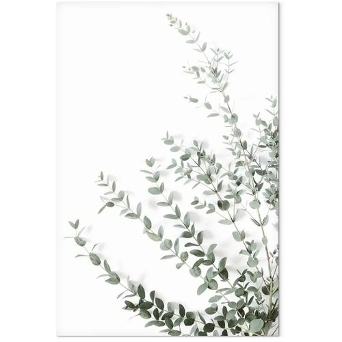  Slika - Eucalyptus Parvifolia (1 Part) Vertical 40x60 Slike