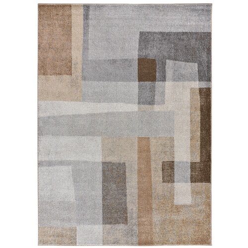Universal Sivo-bež preproga 160x230 cm Aydin - Universal Slike