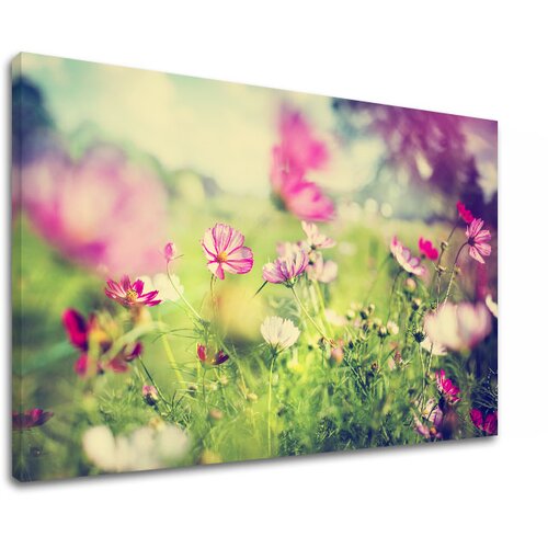  Slike  na platnu roze CVEĆE_165-11 (moderne slike na platnu) Cene