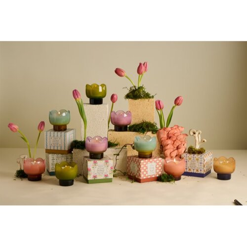 Paddywax Tulip Verbena &amp;amp; Lemongrass di&amp;scaron;eča sveča 155 g Slike