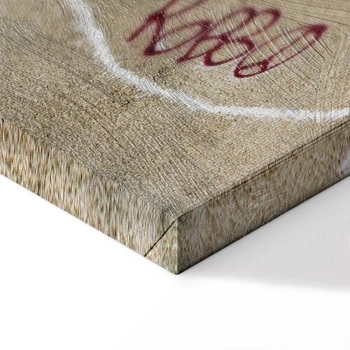  Slika - Banksy\&amp;#039;s Plane (1-part) - Red Graffiti Text on Mural Background 120x80 Premium Print Slike