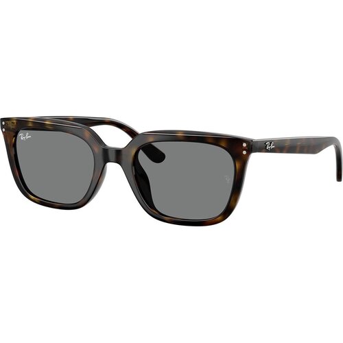 Ray-ban RB4439D 710/87 ONE SIZE (54) Havana/Siva Cene