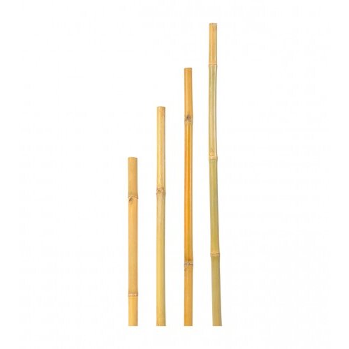 Verdemax &amp;Scaron;tap od bambusa 235cm V006678 Slike