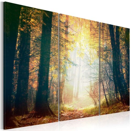  Slika - Beauty of autumn - triptych 120x80 Slike