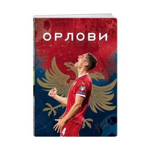 Best Buy premium sveska 50 lista fss - odaberite motiv a4 milenković latajn ( B2C01852 ) Slike