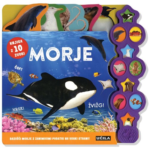 Učila morje &amp;ndash; knjiga z 10 zvoki Slike