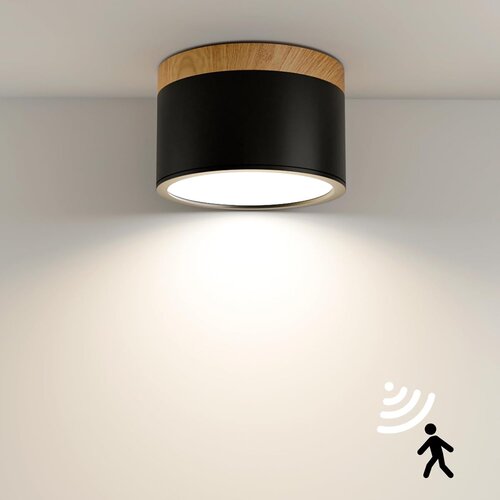 QHENS LED stropna svetilka s senzorjem gibanja 12W Cene