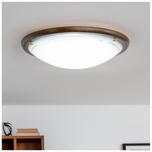 Rabalux fa ufo plafonjera D38 E27 2x60W hrast opal Cene
