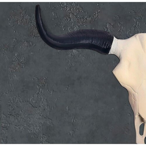 Livetastic Stenska Dekoracija Buffalo Slike