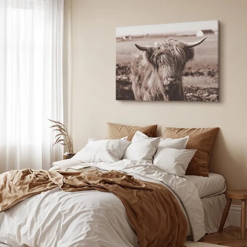  Slika - A Scottish Cow in Sepia 120x80 Premium Print Slike