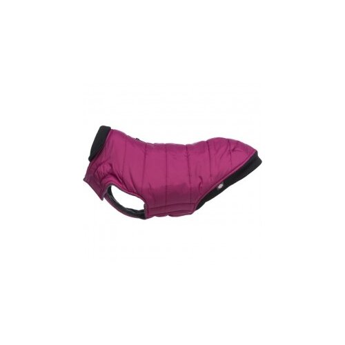  odelce arlay bordo xs 30cm Cene