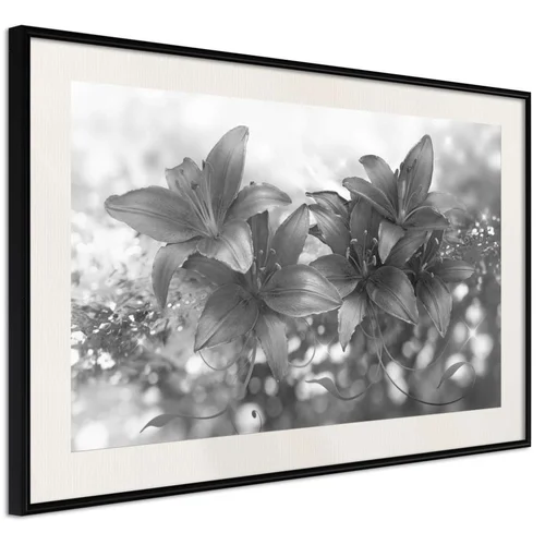  Poster - Dark Lillies 45x30