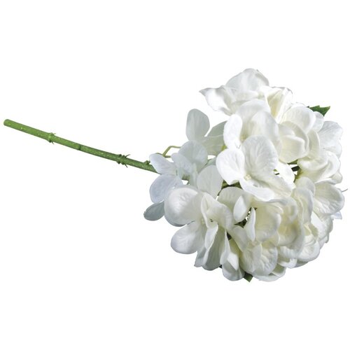 RAYHER Hortenzija, bela, 33cm, (20728289) Cene