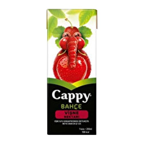 Cappy Sok mini vi&amp;scaron;nja tetrapak 200ml Slike