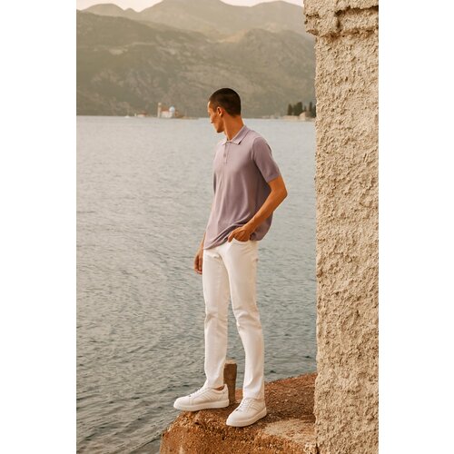 ALTINYILDIZ CLASSICS Men's Lilac Standard Fit Normal Cut Polo Collar 100% Cotton Short Sleeves Knitwear T-Shirt. Slike