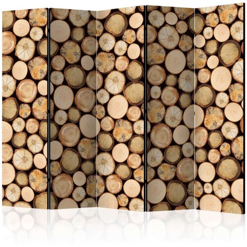  Paravan u 5 dijelova - In sawmill II [Room Dividers] 225x172 Cijene
