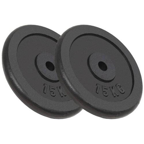 VidaXL Uteži 2 kosa 2x15 kg lito železo, (20776590) Slike