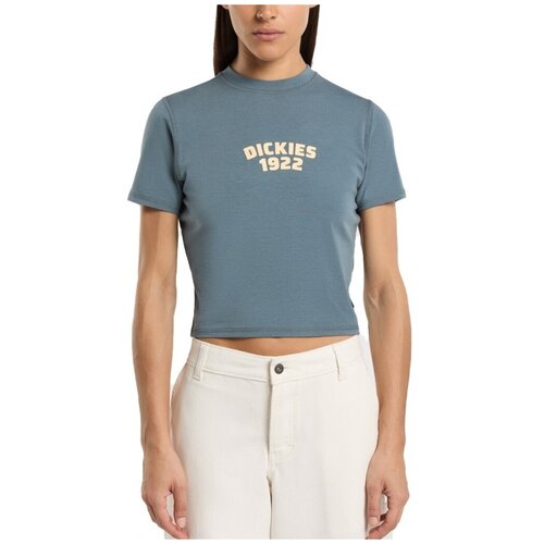 Dickies Majice & Polo majice DK0A4Z8FG701 CENTER LOGO Modra Cene