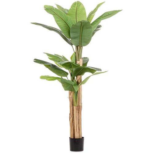  STABLO BANANE 200CM LONČANICA UMJETNA Cijene