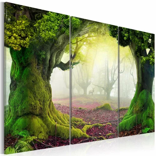  Slika - Mysterious forest - triptych 120x80
