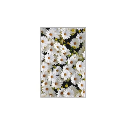 Conceptum Hypnose tepih (100x200) HMNT521 Slike