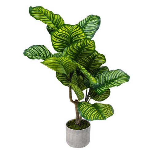 Master Cvijeće ukrasno umjetno 90cm Calathea 750-22 Cene