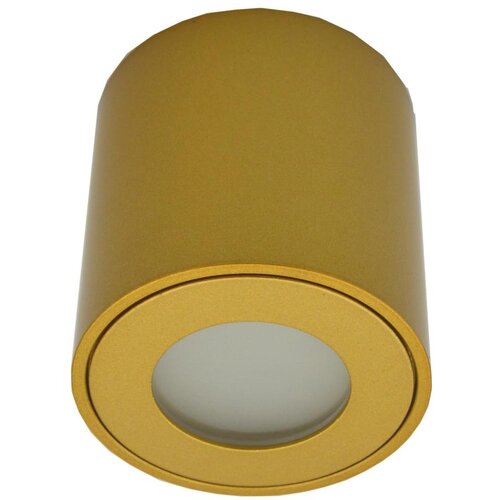  Spoljna reflektorska svetiljka FARA 1xGU10/30W/230V IP54 zlatna Slike