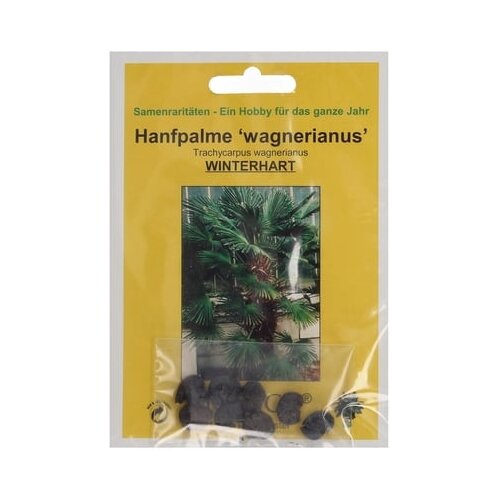 TROPICA Konopljina palma "Wagnerianus" Cene