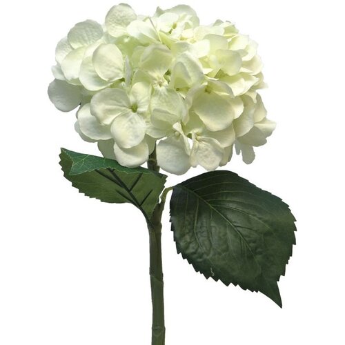  Cvet HYDRANGEA 48cm 12275-0 - Cream - NNT Cene