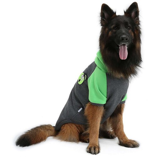 Paws & Whiskers Odijelo za pse Applesweat, zeleno Cene