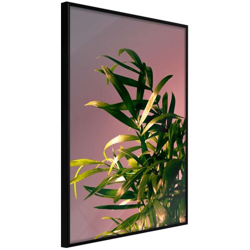  Poster - Against the Sunset 30x45 Slike