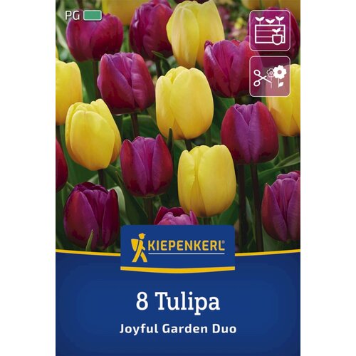 KIEPENKERL Tulipani "Mix Joyful Garden" - 8 k. Cene