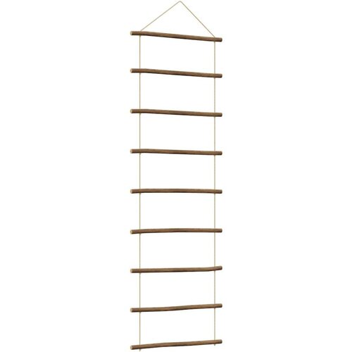 VidaXL zidni ukras u obliku ljestava 50x150 cm prirodna grana Slike