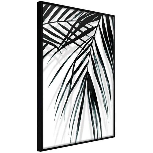  Poster - Leaf and Its Shadow 20x30 Slike