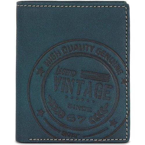 Skpat Vintage Blue Slike