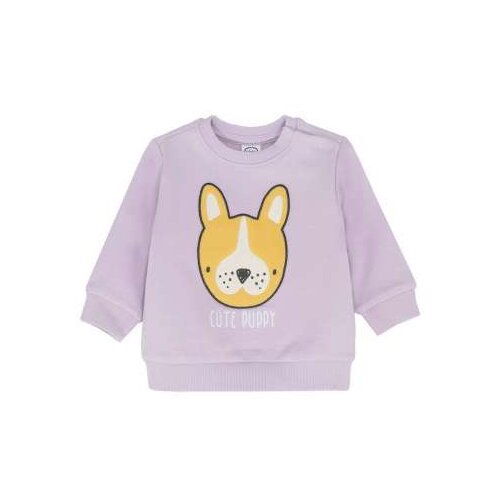 Cool club DUKS Cijene