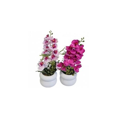  Cvijeće u saksiji orhideja10x30cm CH65512 Cijene