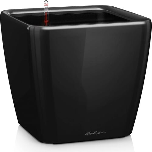 LECHUZA Okrasni lonec Quadro Premium LS 50 - Črna visoki sijaj Cene