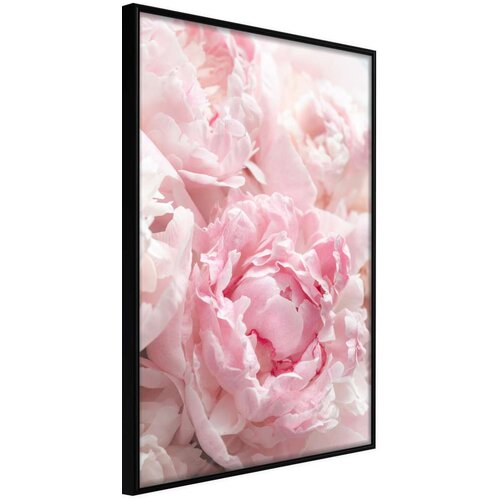  Poster - Abundance of Flowers 40x60 Cijene